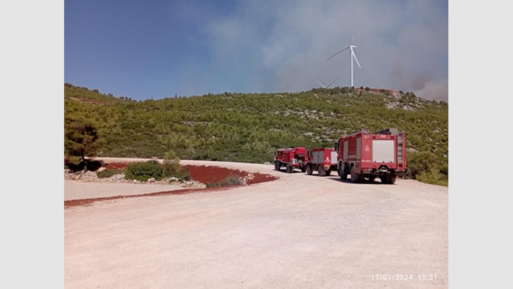 ΕΛΕΤΑΕΝ: Πώς τα αιολικά πάρκα συμβάλλουν στην προστασία του δάσους - Τι έδειξε η πρόσφατη πυρκαγιά στο Σοφικό