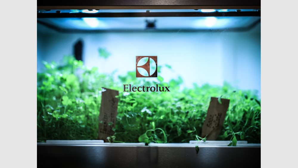 The Swedish company Electrolux is selling its subsidiary in Russia