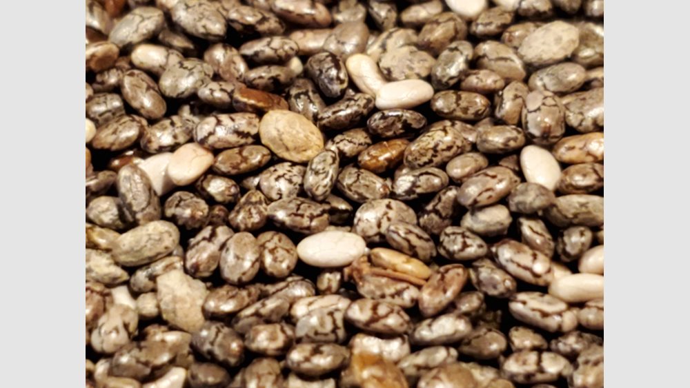 Tα οφέλη των σπόρων τσία για την υγεία