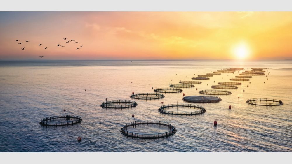 Avramar: Στόχος ένα "αδιάτρητο" σχέδιο εξυγίανσης – Ο κρίσιμος ο Νοέμβριος