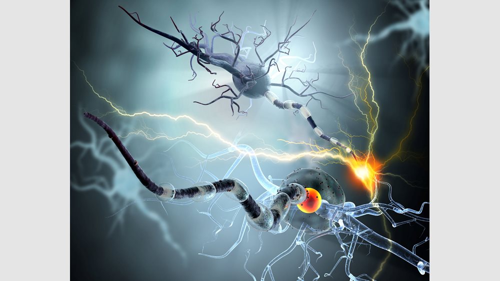 Έρευνα για την πολλαπλή σκλήρυνση κατά την πανδημία του κορονοϊού