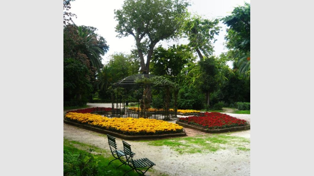 Κλειστός ο Εθνικός Κήπος και απαγόρευση κυκλοφορίας στον Λυκαβηττό λόγω κινδύνου πυρκαγιάς