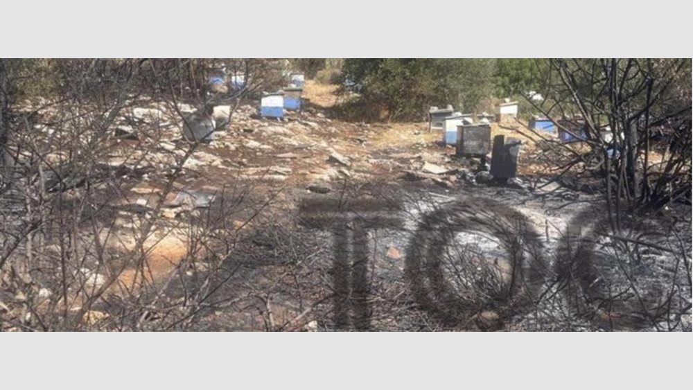 Από αδήλωτα μελίσσια ξεκίνησε η φωτιά στην Πολυτεχνειούπολη - Πρόστιμο και στον πρύτανη του ΕΚΠΑ