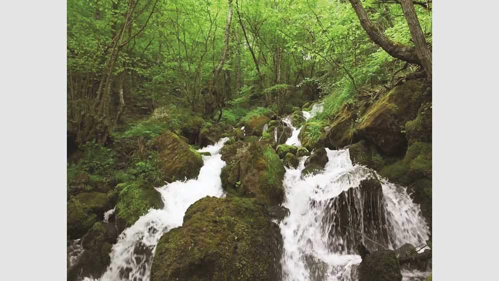 Νερά Πηγών Γράμμου: Το νερό της φύσης με περιβαλλοντικό και κοινωνικό αποτύπωμα