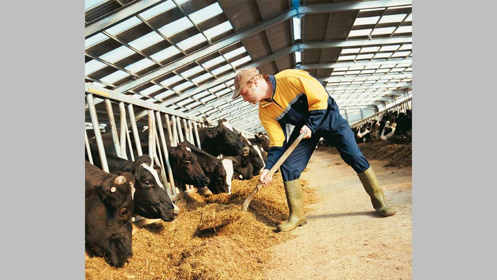 At 2 of turnover based on VAT or tax returns, state aid for animal