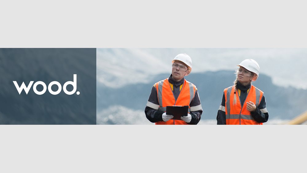 Wood: Προειδοποιεί για χαμηλότερα έσοδα στο σύνολο της χρήσης