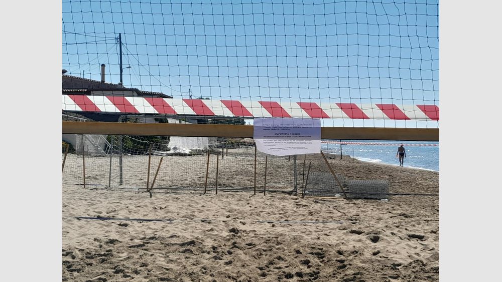 Μπαράζ καταγγελιών στο MyCoast: 2.500 έλεγχοι σε παραλίες την τελευταία εβδομάδα – 14 σφραγίσεις επιχειρήσεων