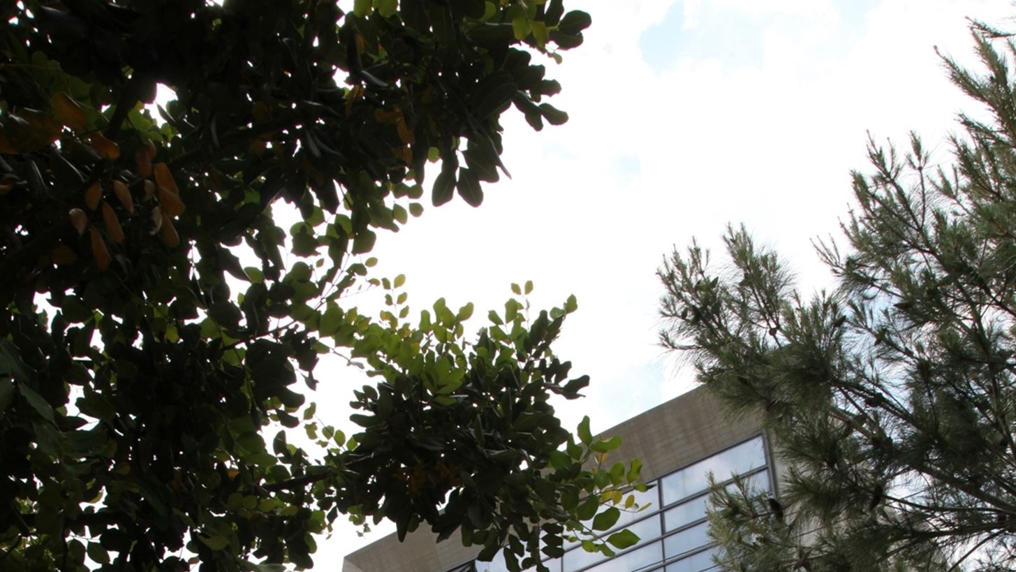 H Lenovo No 1 για άλλη μία φορά