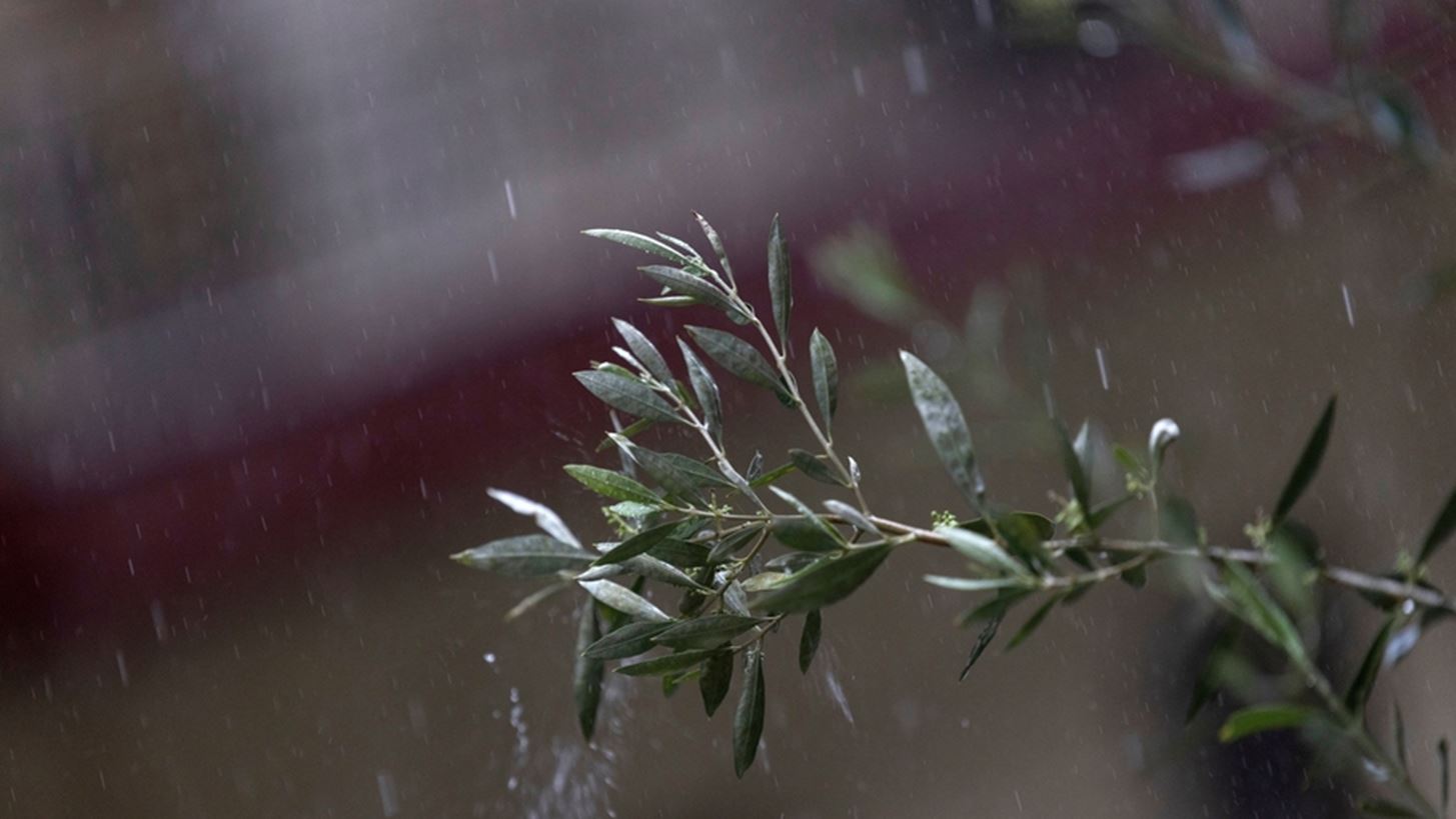 Καταρρακτώδεις βροχές πλήττουν Ιωάννινα και Θεσπρωτία - Κεραυνός έπεσε σε στέγη πολυκατοικίας