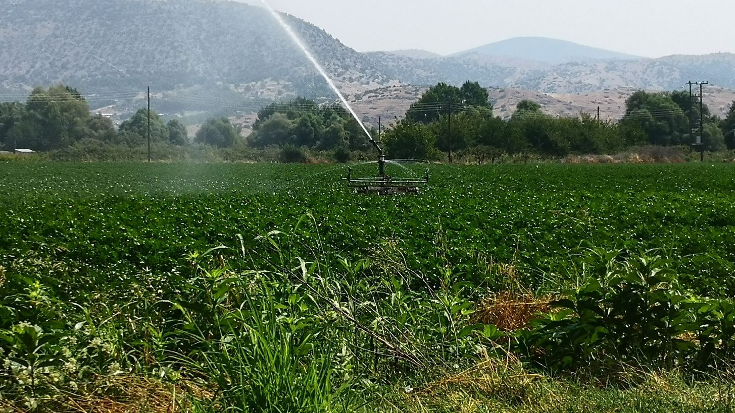 Αγροτικές επιδοτήσεις: Το υβριδικό μεταβατικό σύστημα πληρωμών και ελέγχων για το 2025 - Τι αλλάζει το 2026