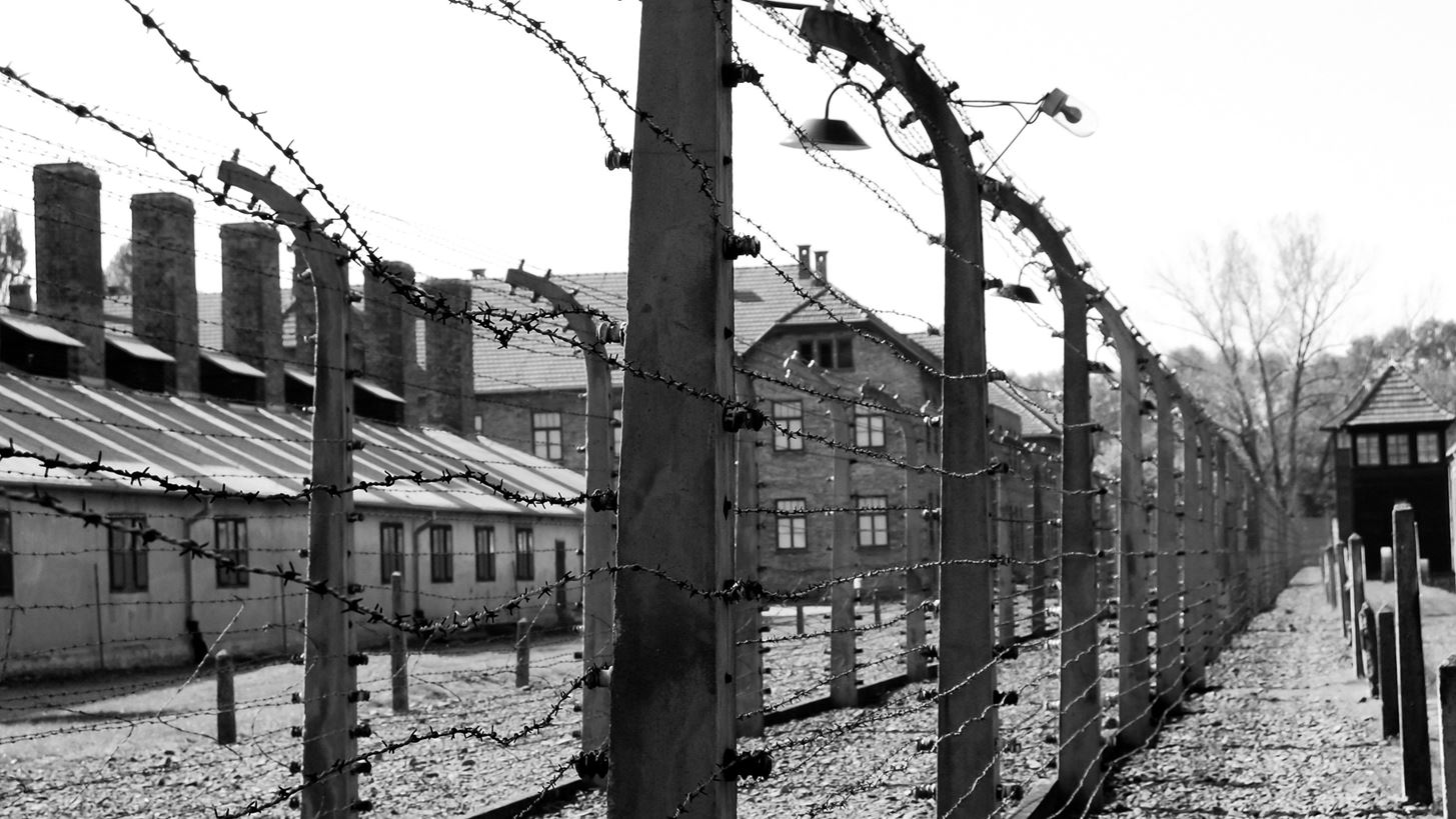 Ταυτοποιώντας ναζί εκτελεστές με τεχνητή νοημοσύνη