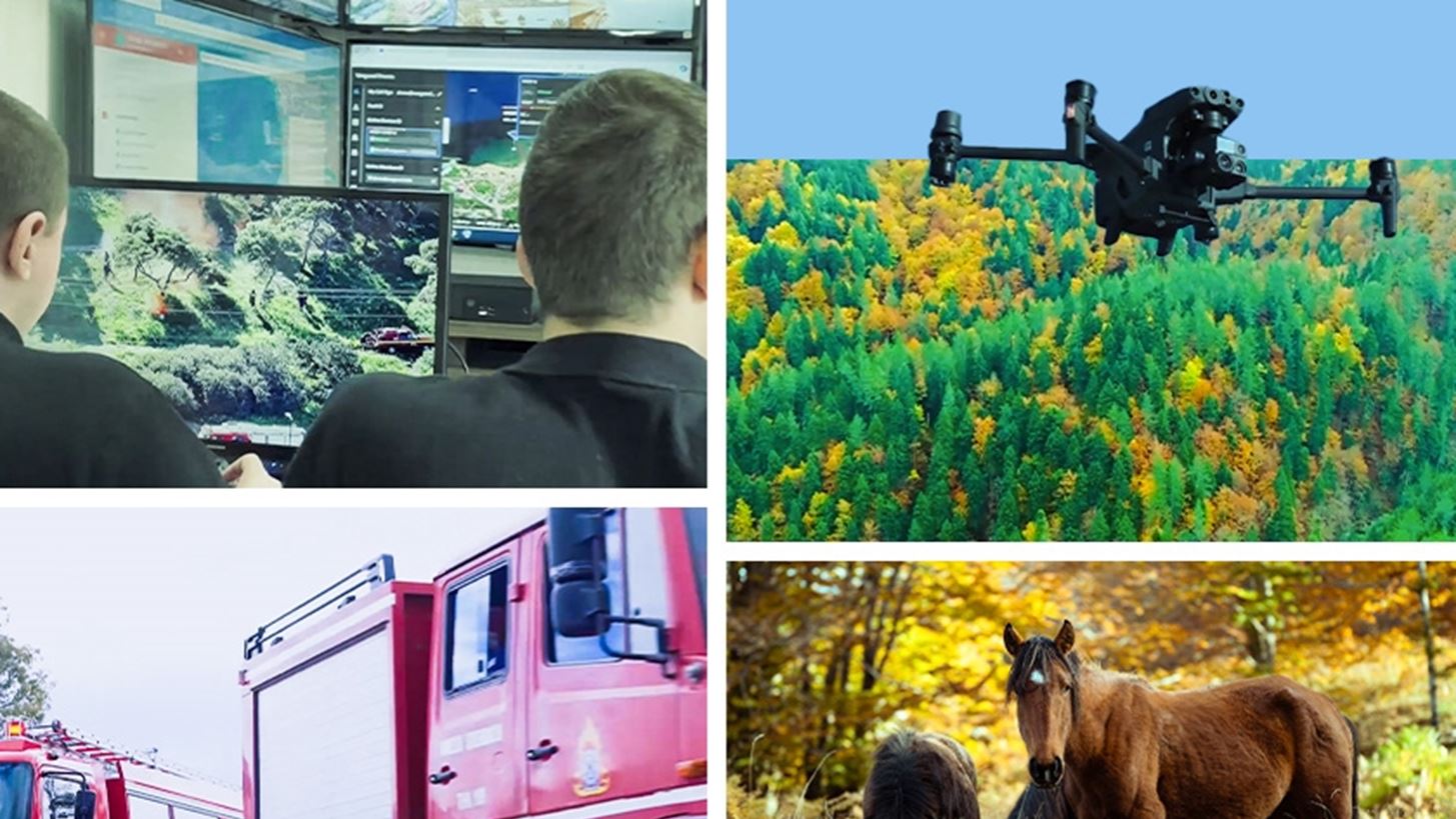 Η Rolex Συνεισφέρει στην Προστασία της Βάλια Κάλντα και Ενισχύει τη Δασοπροστασία στην Ελλάδα