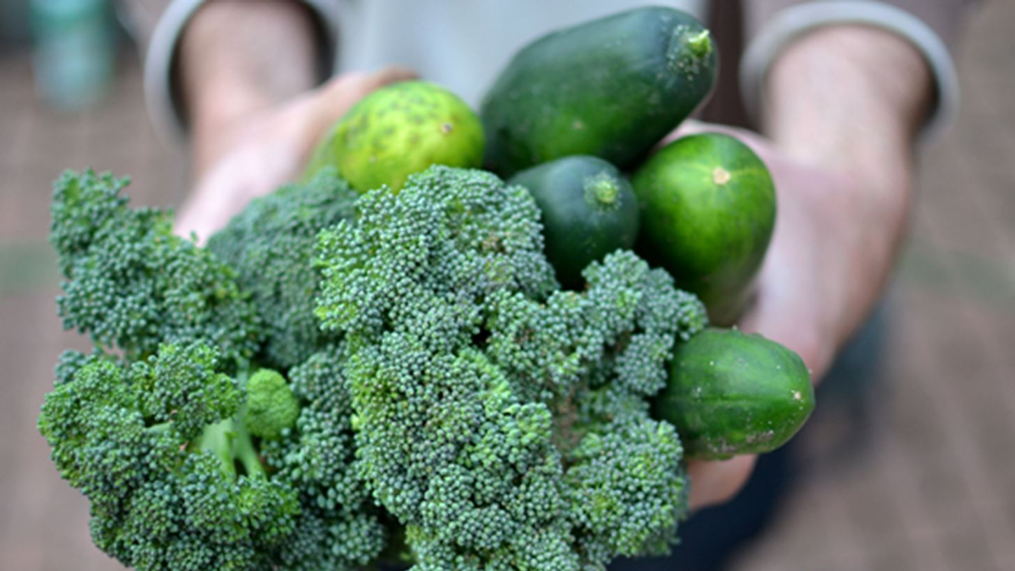 Βρέθηκε το ένζυμο της νεότητας;