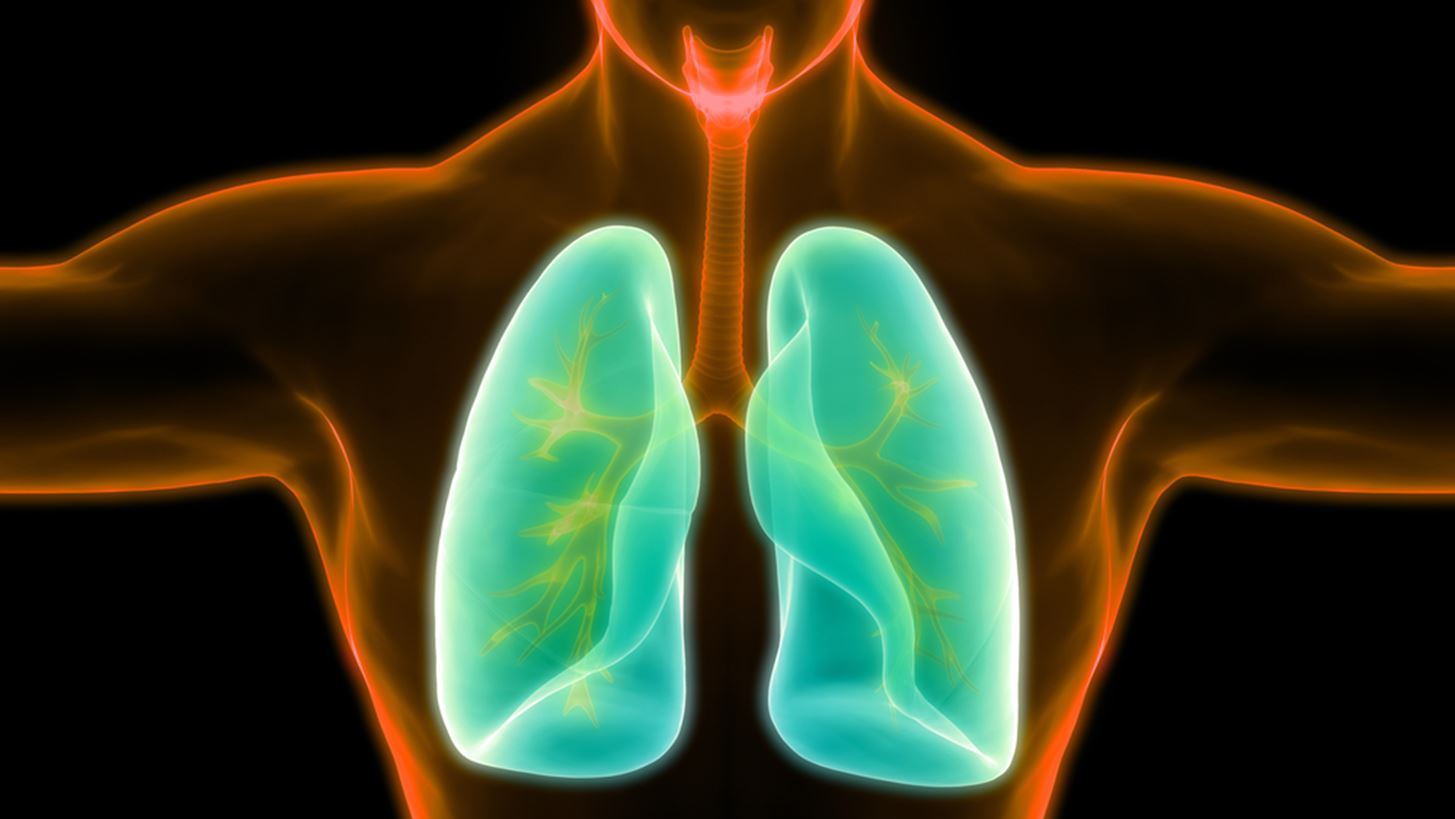 Μπορούμε να προλάβουμε τον καρκίνο του πνεύμονα;