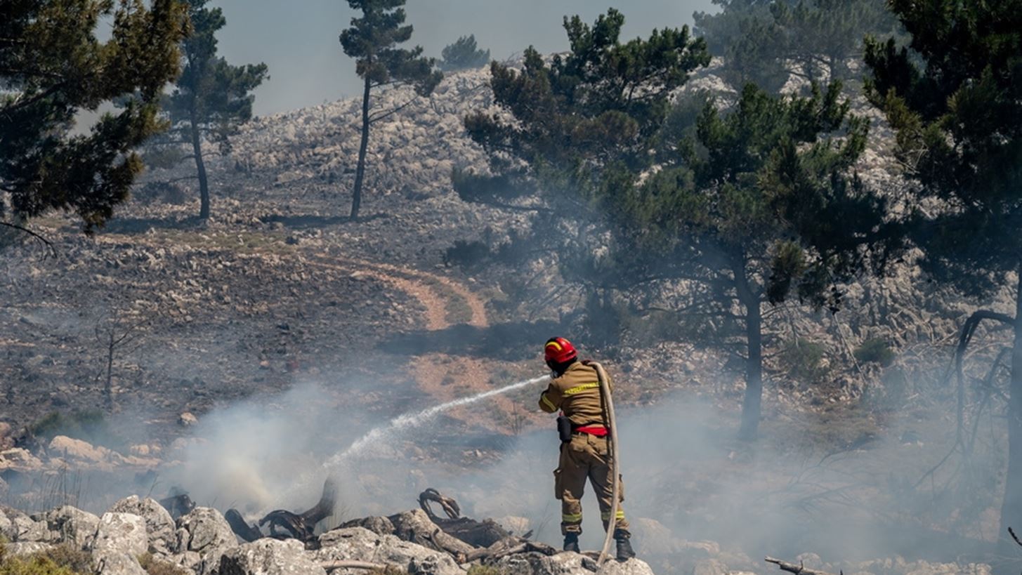 ΥΠΕΝ: Η Εθνική Τράπεζα ανάδοχος αποκατάστασης των καμένων εκτάσεων στο νησί της Χίου με €1,31 εκατ.