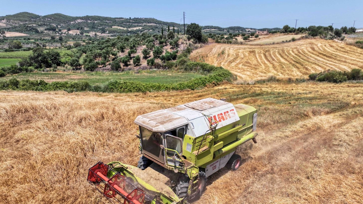 Νέα μείωση 4,2% των τιμών εκροών σε Γεωργία - Κτηνοτροφία τον Σεπτέμβριο