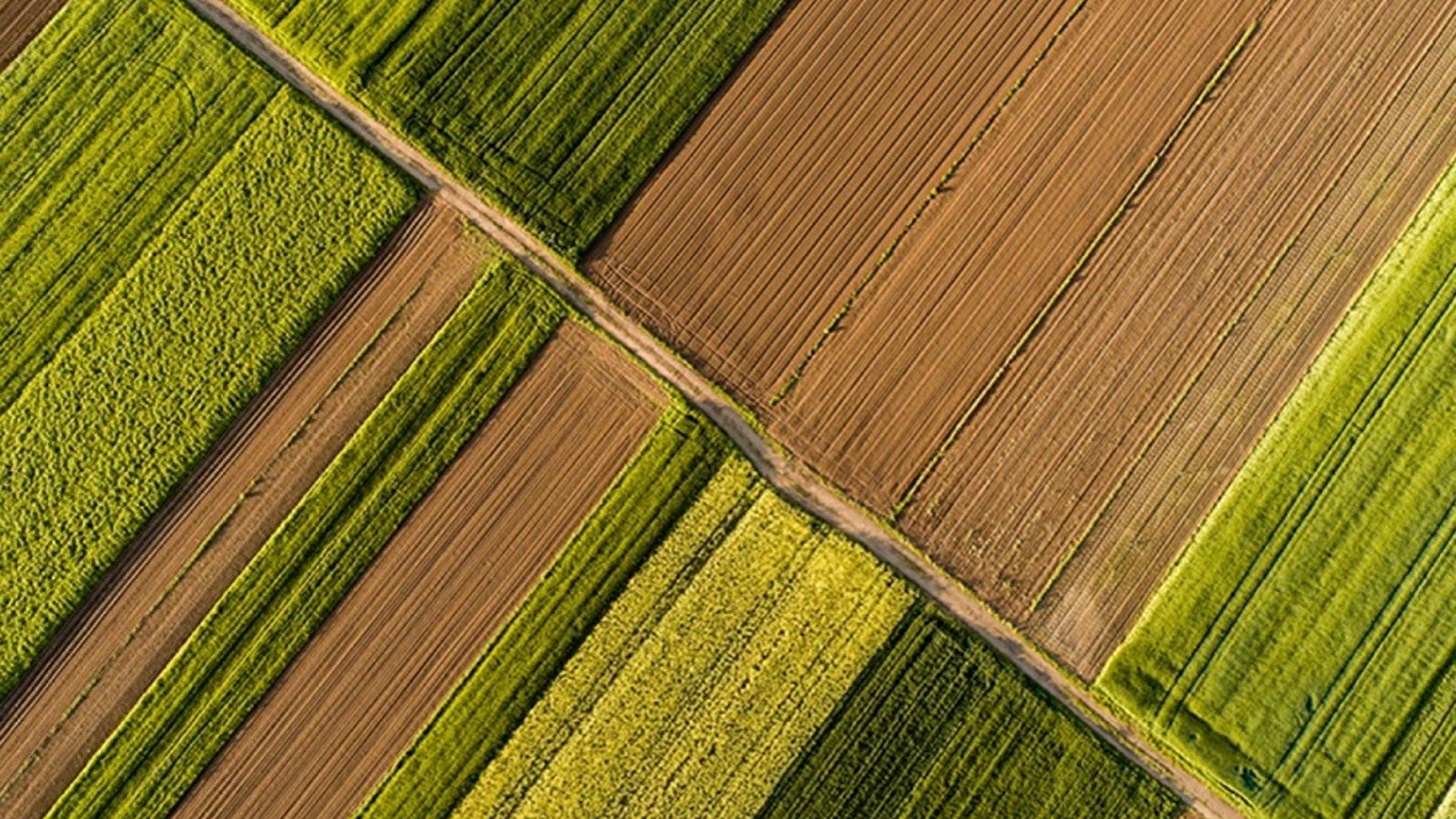 FAO: 1,7 δισ. άνθρωποι βιώνουν τις συνέπειες της ανθρώπινης παρέμβασης στο περιβάλλον