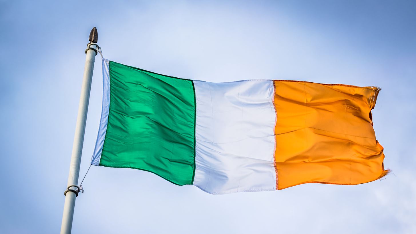 Ιρλανδία: Οι πολίτες αναμένεται να γνωρίζουν απόψε τον νέο τους πρόεδρο