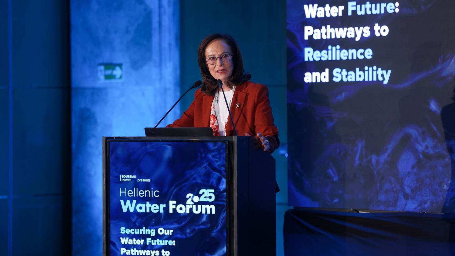 Άννα Διαμαντοπούλου: "Είναι μεγάλη η ανάγκη για νέο εθνικό σχέδιο υδατικής ανθεκτικότητας"