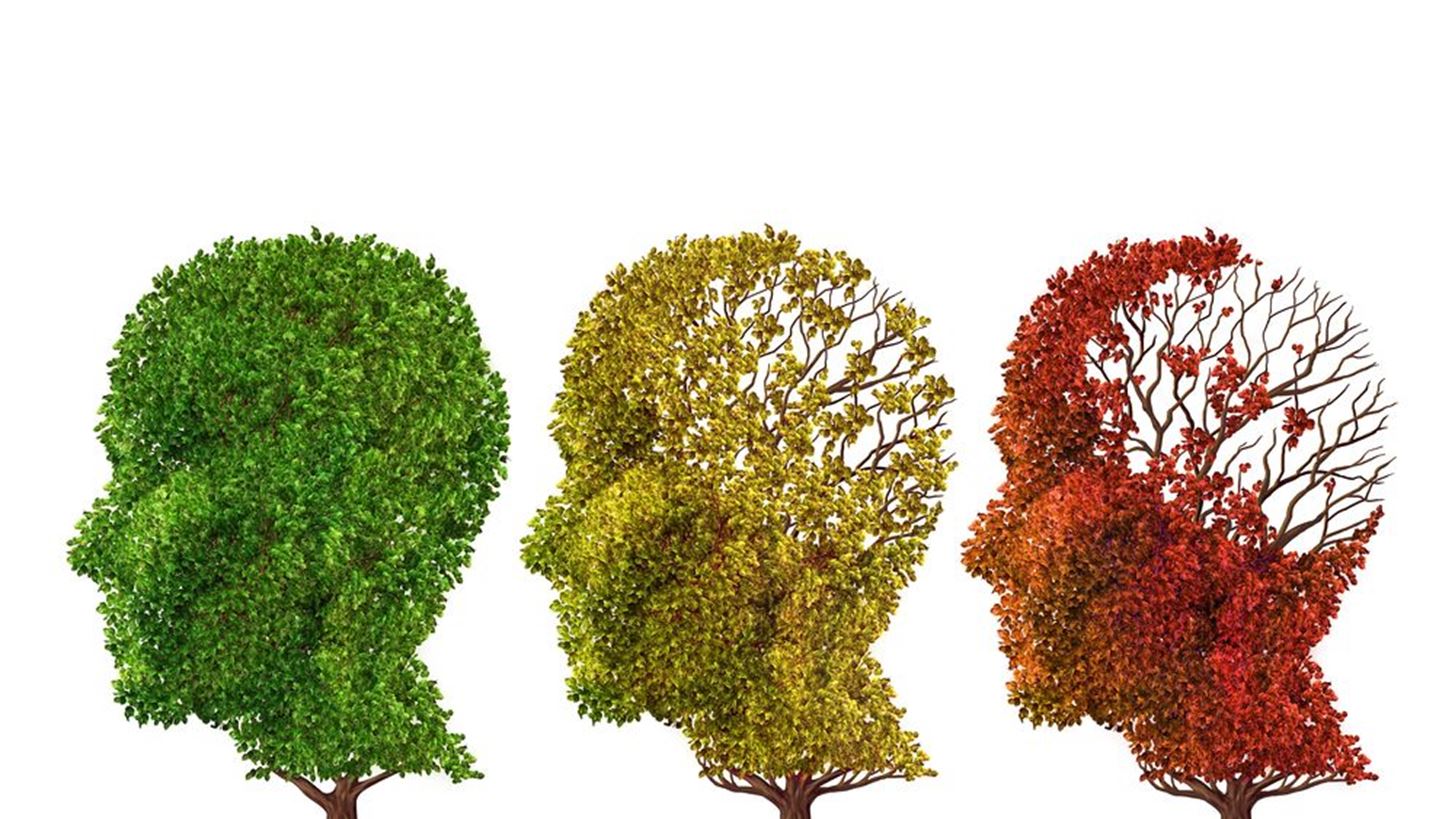 Τι κάνει τον εγκέφαλό μας να γερνάει πιο γρήγορα