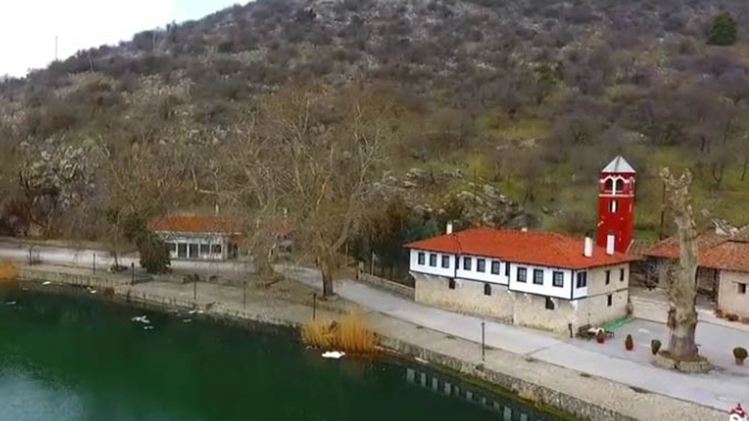 Καστοριά: Ένα πετροκούναβο "έριξε" το ρεύμα στον μισό νομό