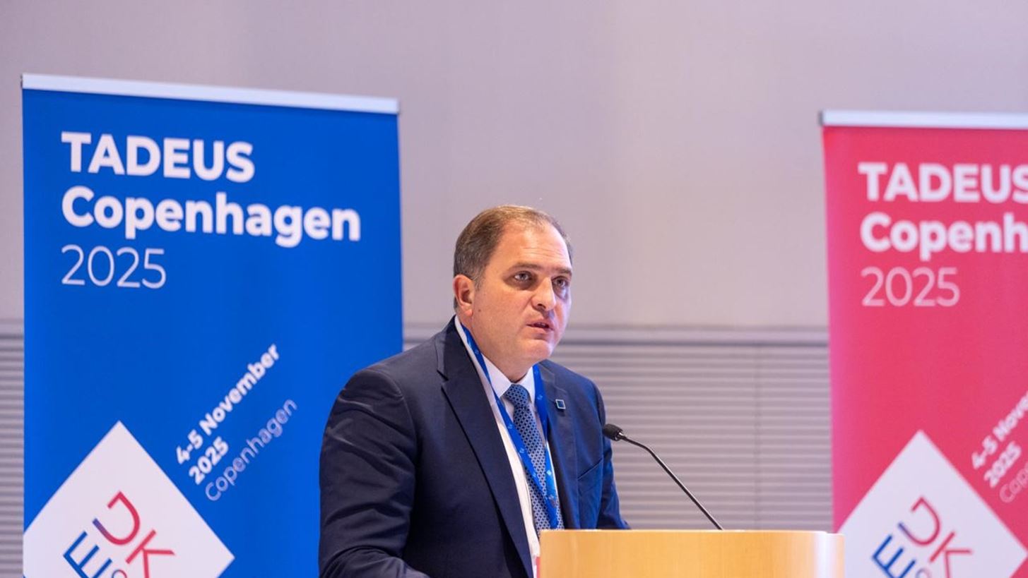 Γ. Πιτσιλής: Παρουσίαση του ΜΑΡ των ευρωπαϊκών φορολογικών διοικήσεων - Οι τρεις βασικοί άξονες