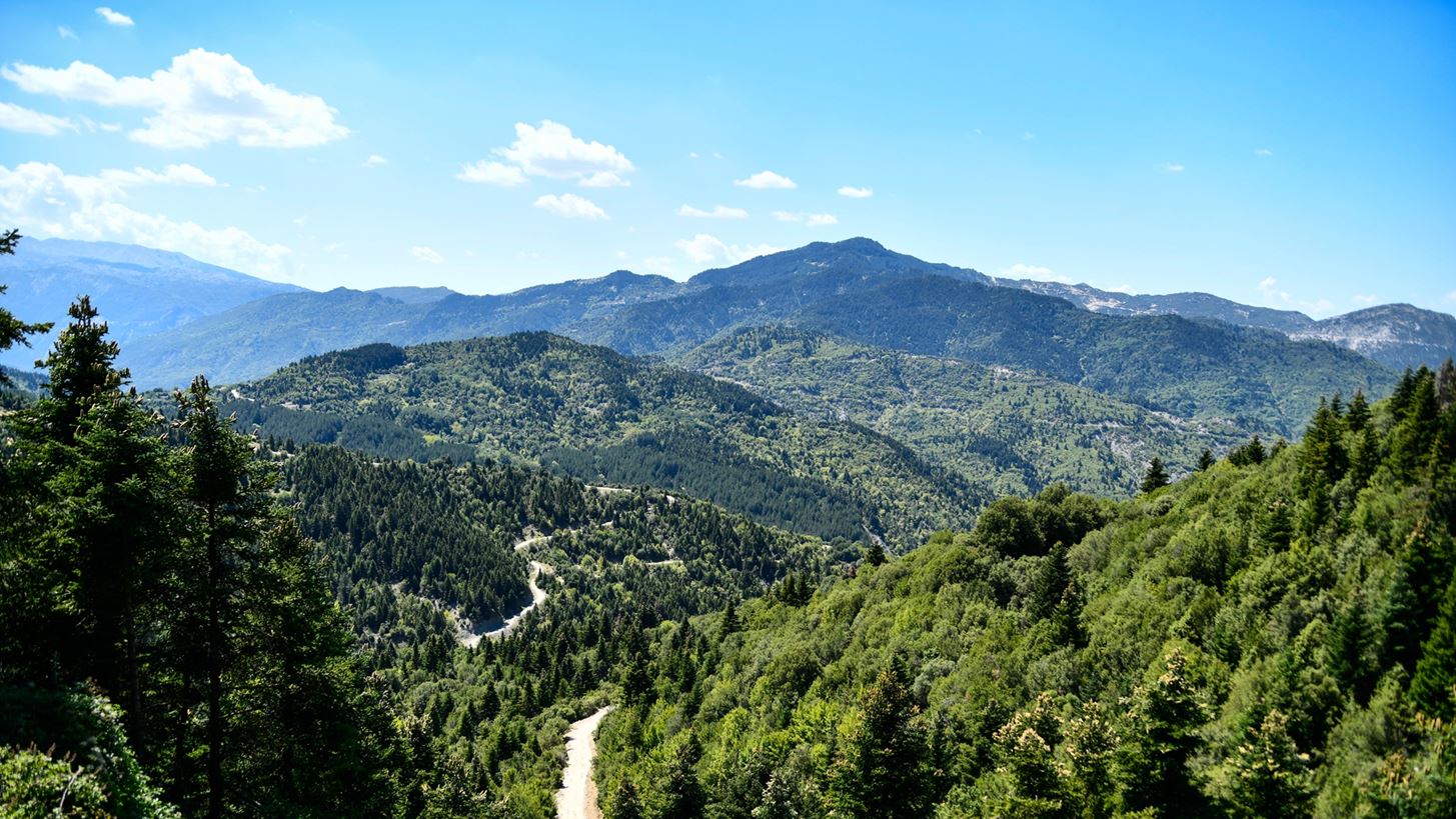 Ελεγκτικό Συνέδριο: "Πραγματοποιούνται πολύ λιγότερες αναδασώσεις από εκείνες που είχε προγραμματιστεί να γίνουν"