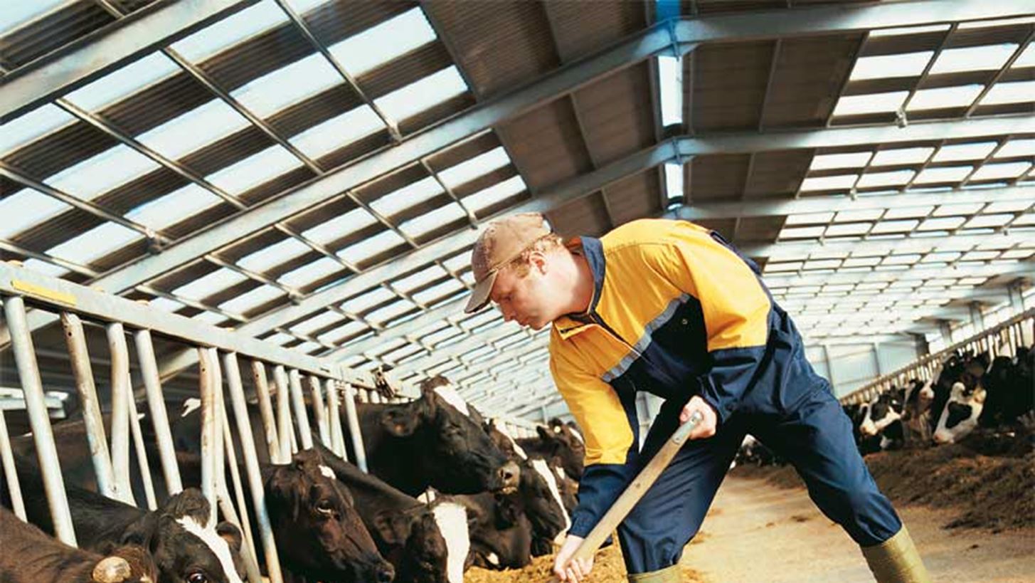 Νέα ενισχυμένη στήριξη των κτηνοτρόφων με 50% αύξηση της αποζημίωσης για ζωοτροφές