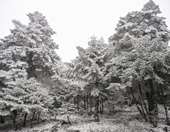 Καιρός: Πού αναμένονται χιονοπτώσεις την Τρίτη