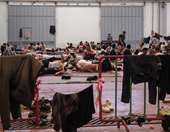 Αυξάνονται οι ροές των μεταναστών στην ανατολική Κρήτη – Εντοπίστηκαν βάρκες σε Καλούς Λιμένες, Ψαρή Φοράδα, Ιεράπετρα