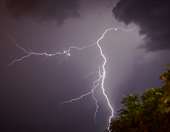 Ηράκλειο: Πτώσεις δέντρων από ολιγόλεπτη καταιγίδα