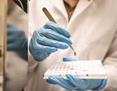 Οι επιπτώσεις των μικροπλαστικών στον οργανισμό μας