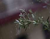 "Βουτιά" έκανε ο υδράργυρος στην Κεντρική Μακεδονία - Θερμοκρασίες υπό το μηδέν και θυελλώδεις άνεμοι