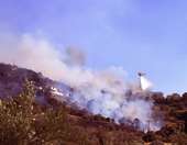 Φωτιά στη δυτική Θεσσαλονίκη - Χωρίς ενεργό μέτωπο η φωτιά στην Καβάλα