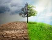 Καιρική ανασκόπηση 2025: 9 στους 12 μήνες με θερμοκρασίες υψηλότερες από το κανονικό