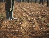 ΕΛΣΤΑΤ: Άνοδος 0,2% του δείκτη τιμών εκροών στη γεωργία