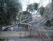 Αλεξανδρούπολη: Δεκάδες αιτήσεις από επιχειρήσεις και κατοικίες που επλήγησαν από την κακοκαιρία