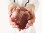 Αυτή η νέα µέθοδος µπορεί να σώσει περισσότερες ζωές από το CPR