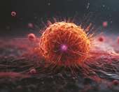 "Ο καρκίνος μπορεί να αντιμετωπισθεί - Πολλές φορές και λίαν επιτυχώς"