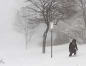 ΗΠΑ: Νέο κύμα κακοκαιρίας με ισχυρές χιονοπτώσεις - Εκτεταμένα προβλήματα σε μεταφορές και συγκοινωνίες