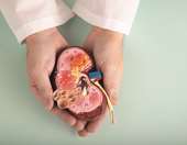 Η έρευνα στις μεταμοσχεύσεις προχωρά: Πού βρισκόμαστε