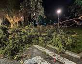 Αλεξανδρούπολη: Ανεμοστρόβιλος με ριπή 154.5 χλμ. σάρωσε το κέντρο της πόλης - Επεσαν δέντρα, βάρκες βγήκαν στη στεριά