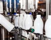 Καθοριστικό το 2026 για το ράλι των εξαγωγών σε φέτα και γιαούρτι