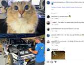 Subaru και γάτες: Ο καλύτερος συνδυασμός στο instagram