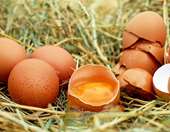 Κρίνεται η αναδιάρθρωση δανείων 35 εκατ. της Π. Σκούρτης ΑΒΕΕ – Το διακύβευμα για τη Χρυσά Αυγά