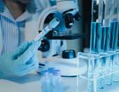 Ερευνητές κατάφεραν να αναζωογονήσουν το ανοσοποιητικό σύστημα σε ηλικιωμένα ποντίκια