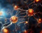 Αμυοτροφική Πλάγια Σκλήρυνση (ALS) ή αλλιώς νόσος του κινητικού νευρώνα: Τι ξέρουμε για την ασθένεια