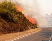 Θεσσαλονίκη: Φωτιά στην Αρέθουσα του δήμου Βόλβης