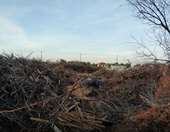 Τι αλλάζει φέτος με τους καθαρισμούς οικοπέδων - Υψηλά πρόστιμα αν δεν καθαριστούν, χαμηλά αν δε γίνει η δήλωση