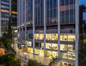 Η Seneca Medical Group ανατρέπει τα δεδομένα στη Μεταμόσχευση Μαλλιών: Καινοτομία και Ιατρικές Υπηρεσίες Υψηλών Προδιαγραφών